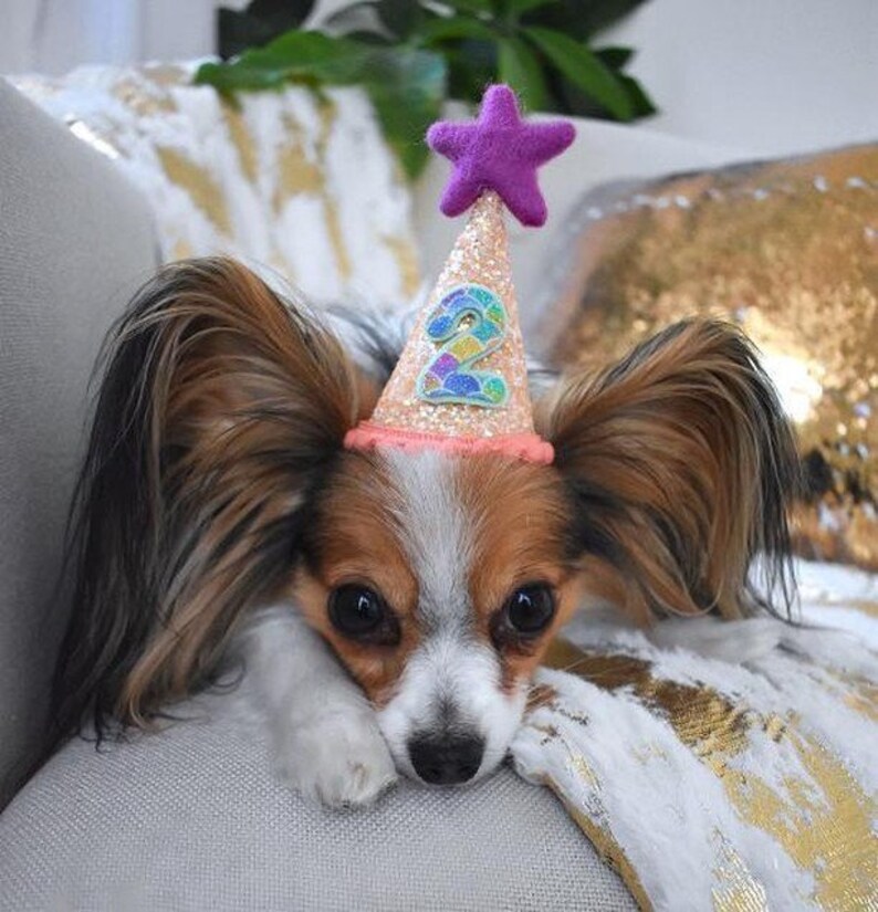 Pet Party Hat Animal Birthday Party Hats for Cats And Dogs |Pet Party Accessory Cat Dog Birthday Hat Busters Party Shop