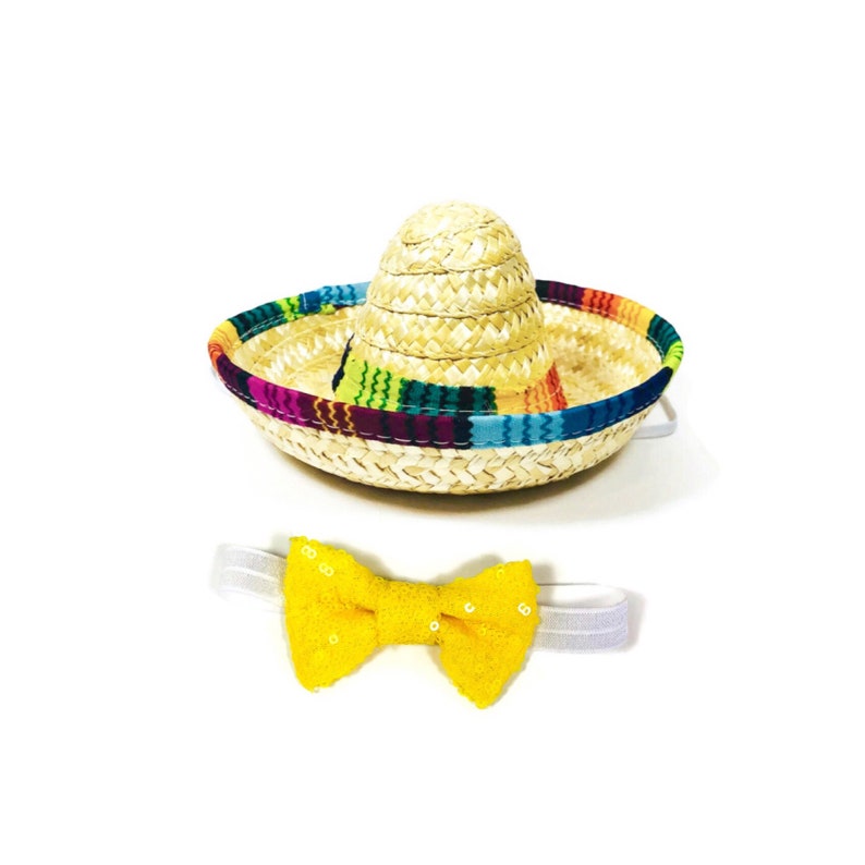 mini dog sombrero