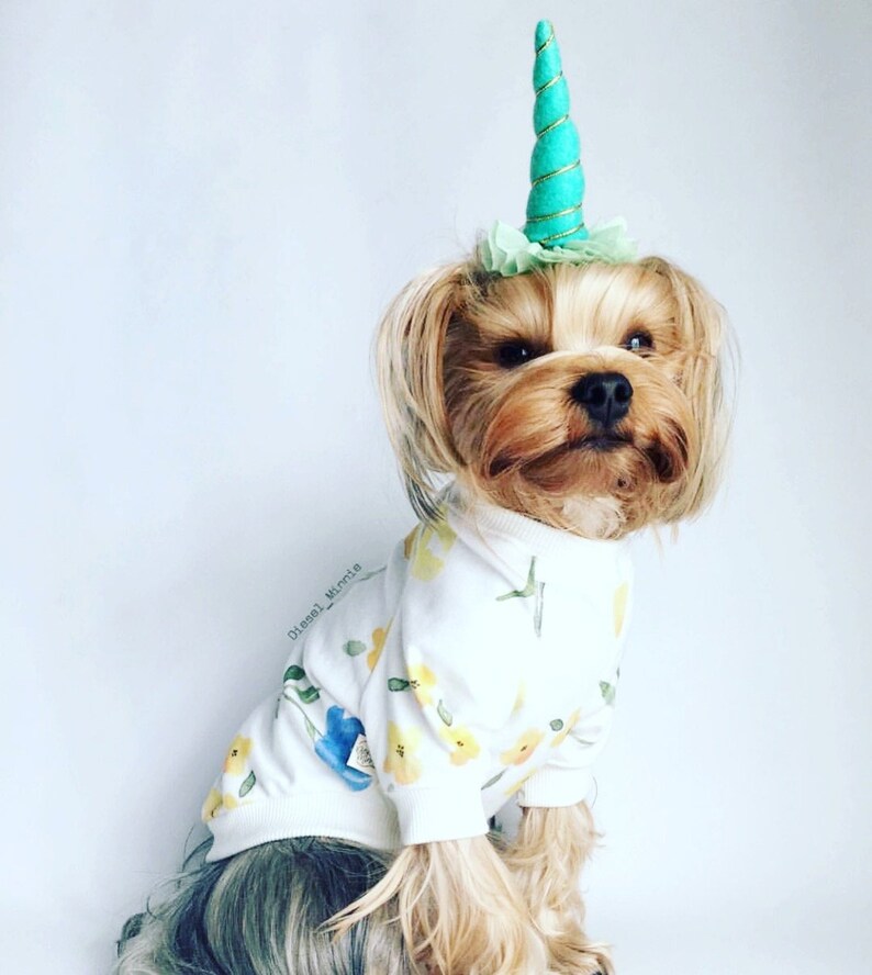 Einhorn Horn Stirnband für Hund Haustier Einhorn Kostüm Etsy