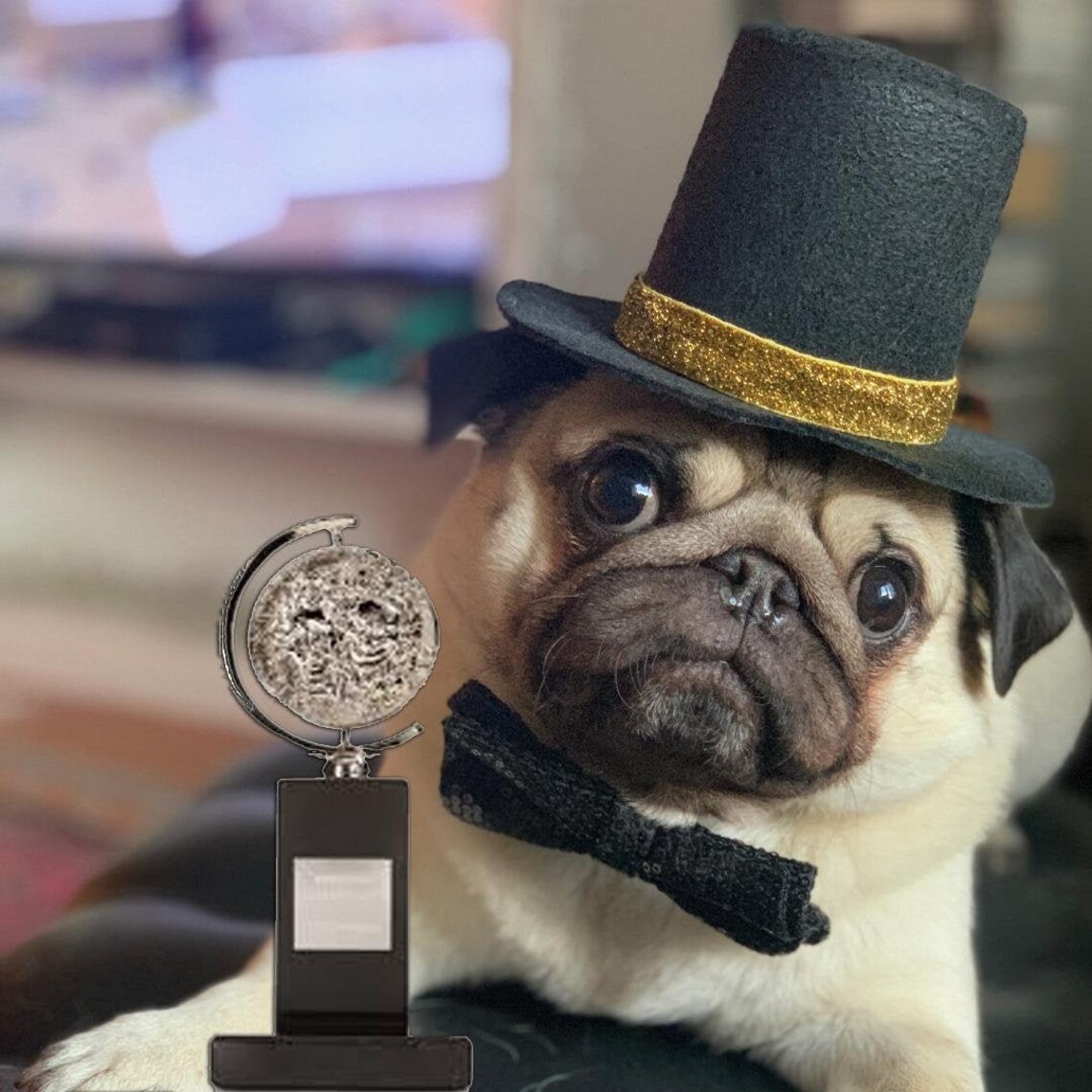 Dog Top Hat and Bow Tie Dog Gift Pet Birthday Party Etsy