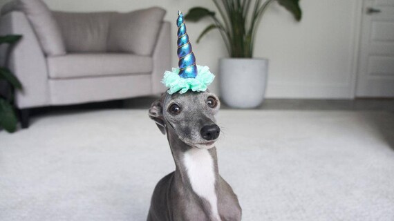 Mini Unicorn Horn || Dog Unicorn Headband || Unicorn Headband for Dog || Pet Unicorn Costume || Dog Unicorn || Unicorn Dog