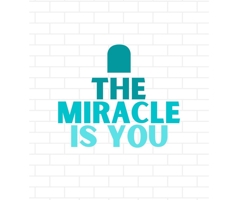 Encanto SVG Encanto Quote the Miracle is You Encanto Clip | Etsy