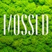 Avatar belonging to MossedPrints
