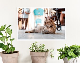 Café Cat (Havana, Cuba)