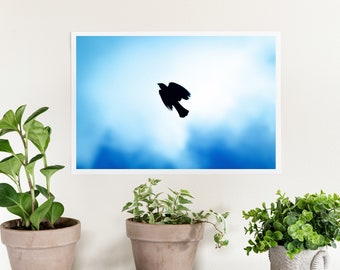 Flight