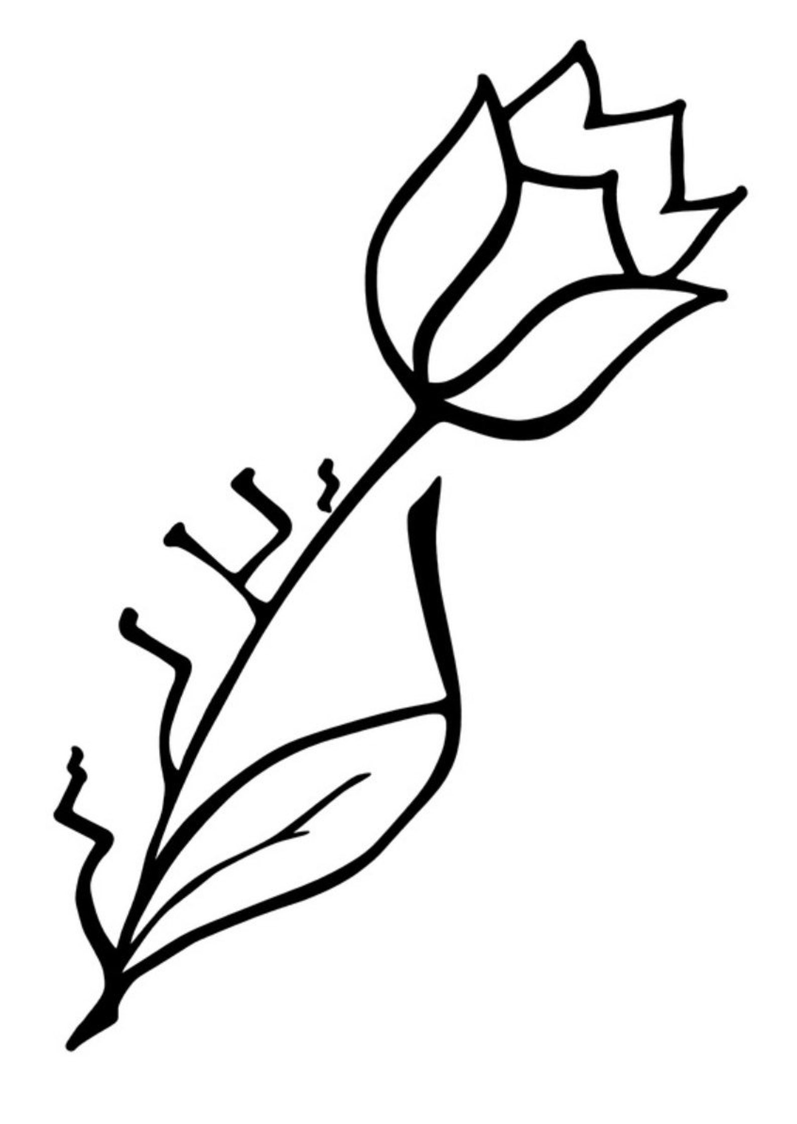 Jewish Logo Jewish Wedding Hebrew Design Hebrew Logo Bencher - Etsy