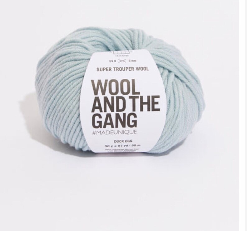 Wolle und die Gang Super Trooper Garn, 100% Merino, verschiedene Farben Duck Egg Blue