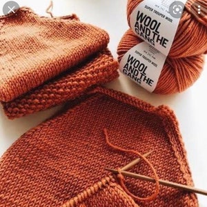 Wolle und die Gang Super Trooper Garn, 100% Merino, verschiedene Farben Terracotta