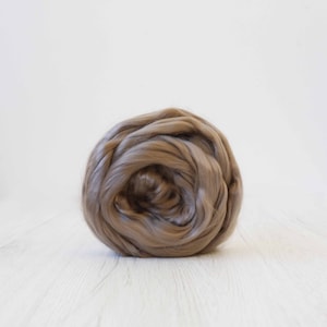 Lyocell Tops, Roving, DHG Italy, 50g, Earth