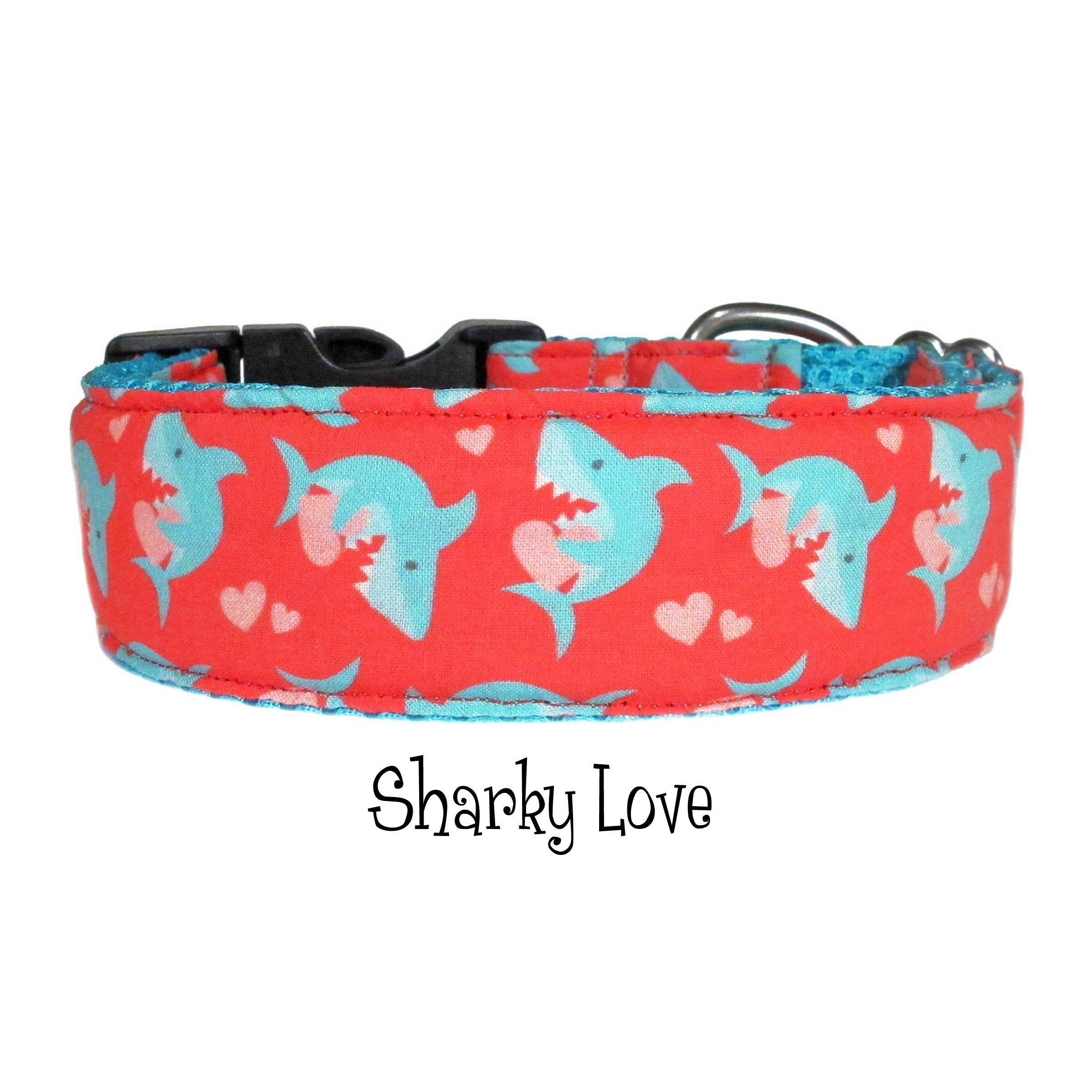martingale collar for pitbull