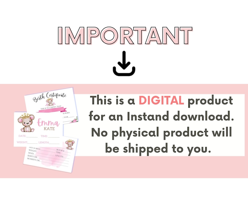 Baby Girl Hospital Crib Card: Printable NICU Name Sign (digital ...