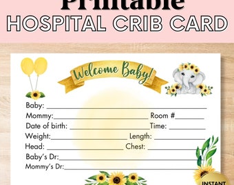 Hospital Crib Card, Baby Girl Name Card, NICU Name Card, Printable Name Card, Hospital Name Sign, Health Crib Card
