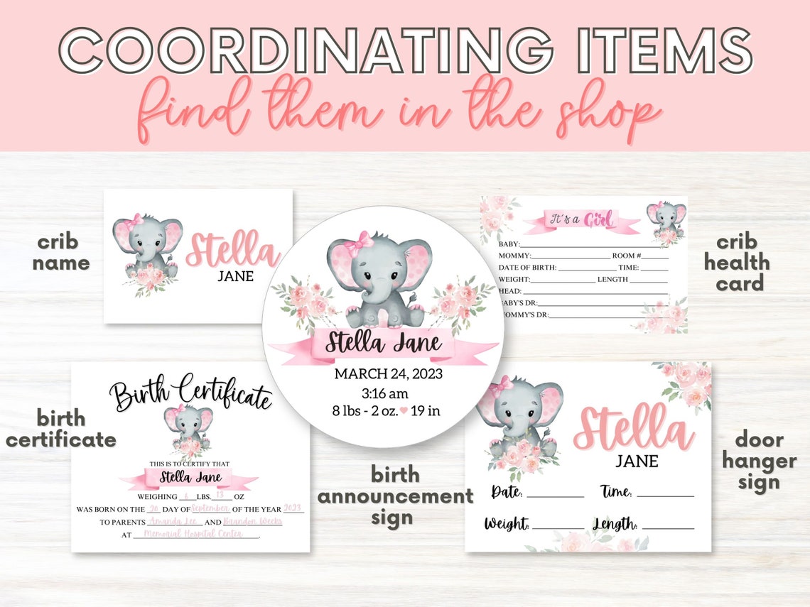 Hospital Crib Card, Baby Girl Name Card, NICU Name Card, Printable Name Card, Hospital Name Sign