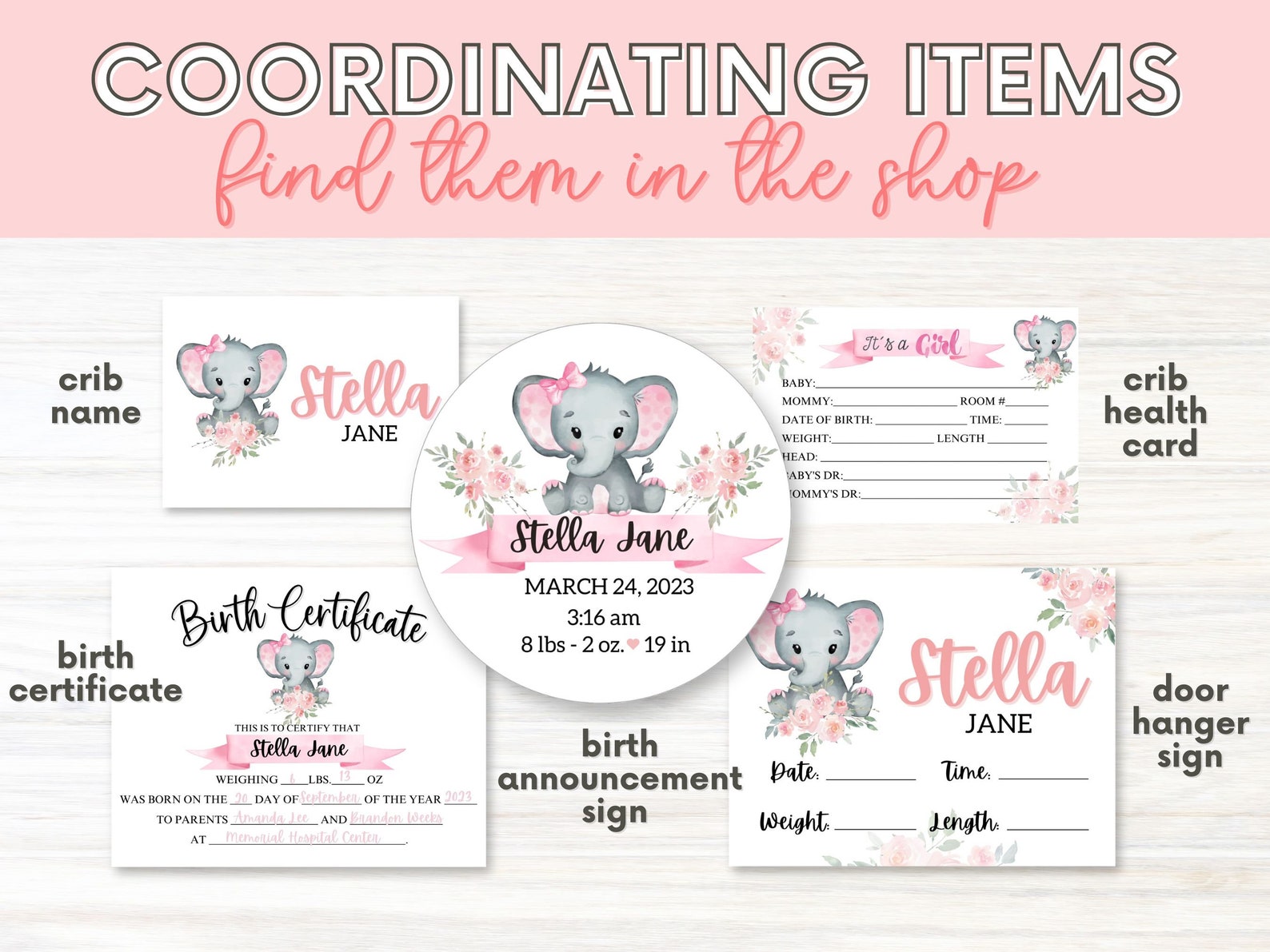 Hospital Crib Card, Baby Girl Name Card, NICU Name Card, Printable Name