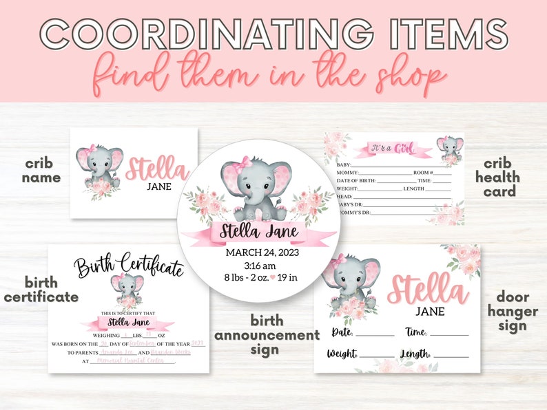 Hospital Crib Card, Baby Girl Name Card, NICU Name Card, Printable Name Card, Hospital Name Sign