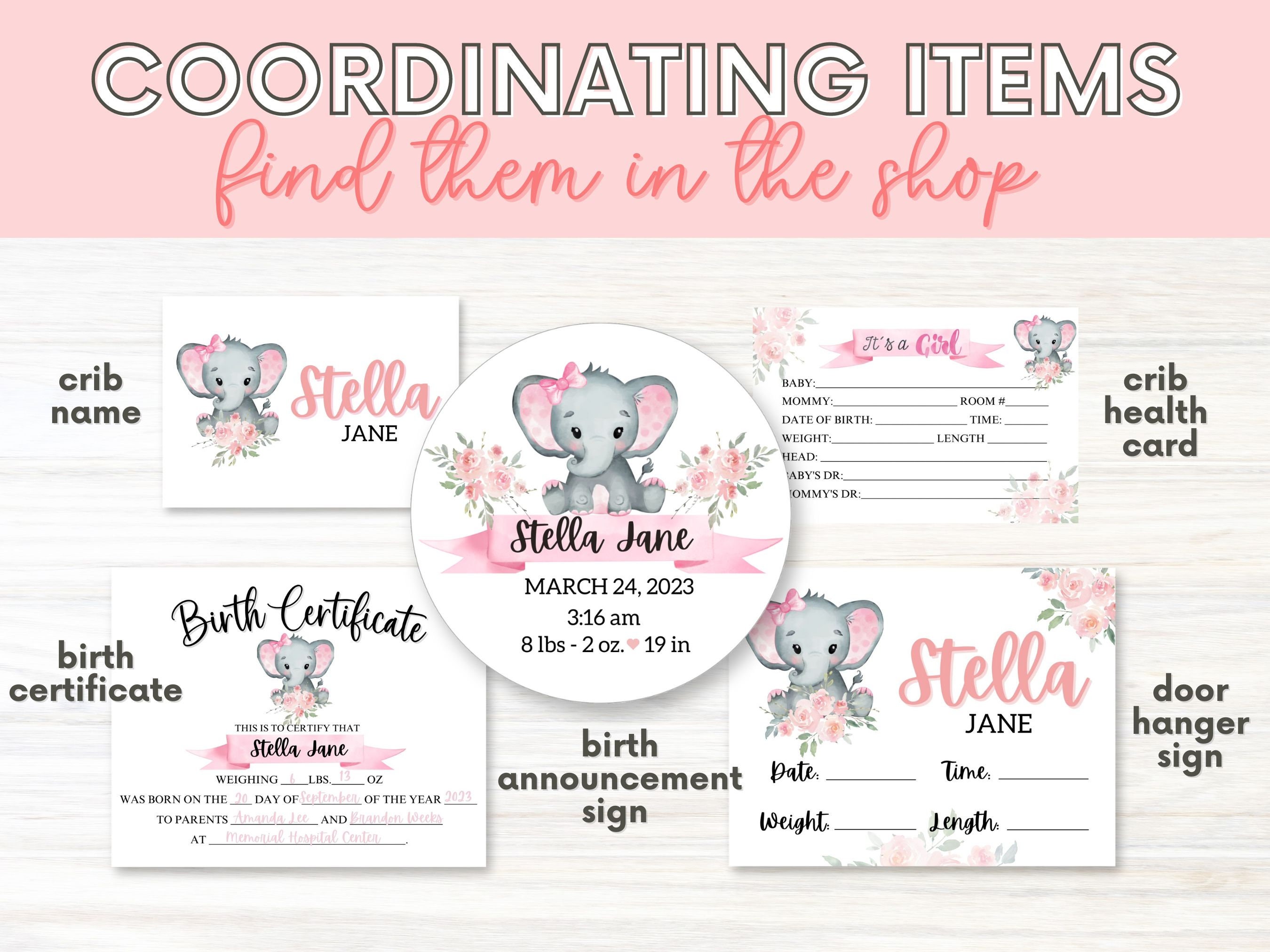 Hospital Crib Card, Baby Girl Name Card, NICU Name Card, Printable Name