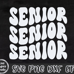 Senior Senior Senior SVG, Retro Senior Svg, Class of 2024 SVG, Senior shirt Png, High School Shirt Png, University, Digital Download Files image 8