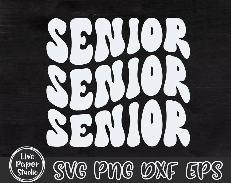 Senior Senior Senior SVG, Retro Senior Svg, Class of 2024 SVG, Senior shirt Png, High School Shirt Png, University, Digital Download Files image 8