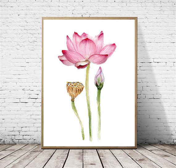 Lotus Art Flower Printable Digital Download Art Watercolor | Etsy