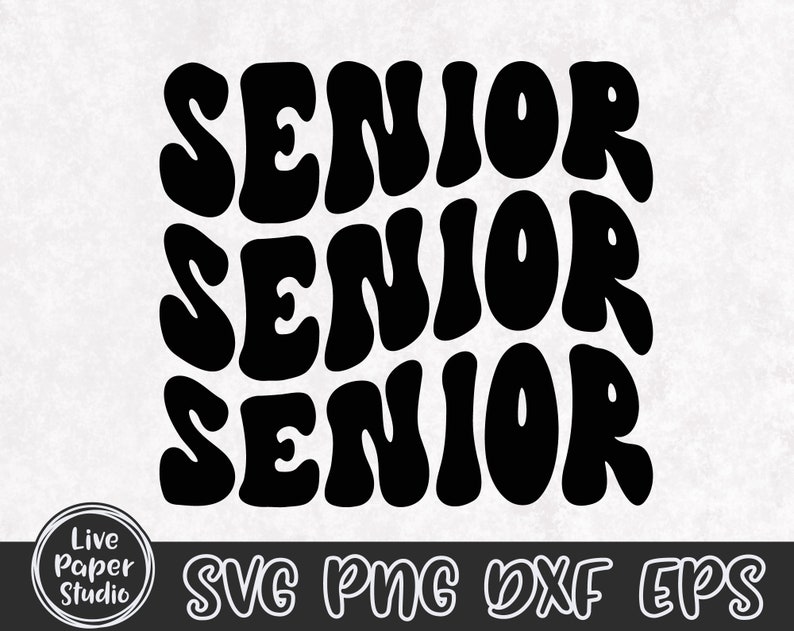 Senior Senior Senior SVG, Retro Senior Svg, Class of 2024 SVG, Senior shirt Png, High School Shirt Png, University, Digital Download Files image 3