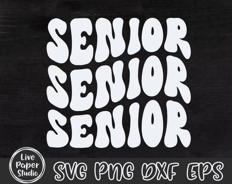 Senior Senior Senior SVG, Retro Senior Svg, Class of 2024 SVG, Senior shirt Png, High School Shirt Png, University, Digital Download Files image 4