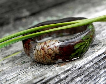 Houten kegelvormige ring, bos