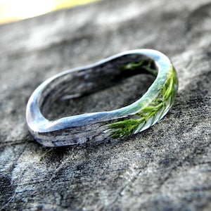 Holz Wacholder Ring, Silber Eiche Band