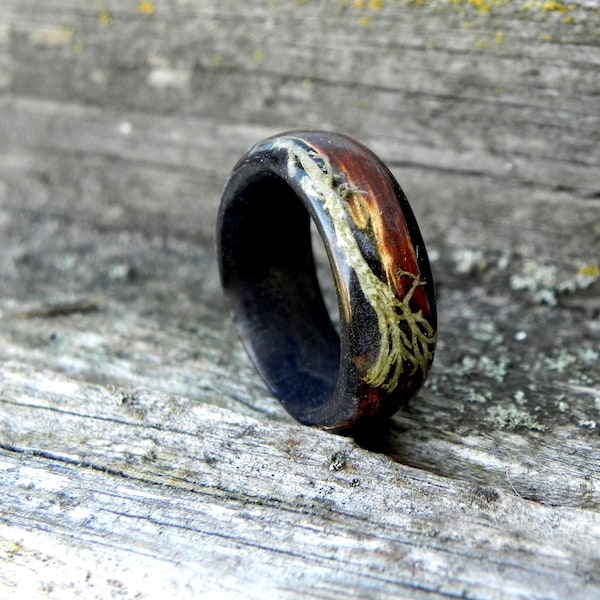 Winter forest wood ring with lichen and bark, black oak band
