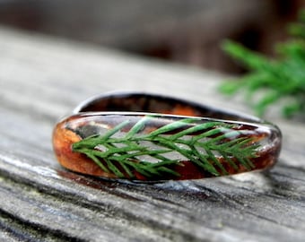 Jeneverbesbosring, kersthouten band