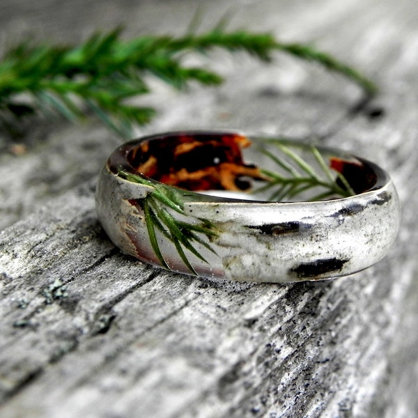 Birch forest ring, Juniper wood ring, Men BIRCH ring, Women juniper ring, Bentwood mens ring, Birch bark ring, Nature wedding rings, Ring