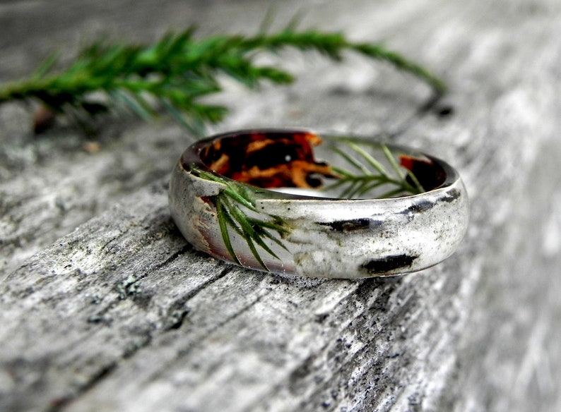  Birch  forest ring  Juniper wood  ring  Men BIRCH  ring  Women 