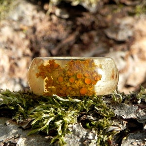 Birch moss ring, Light wood ring, Wood resin ring, Wooden moss jewelry, Women wood wedding ring, Men wooden ring, Anniversary wood rings