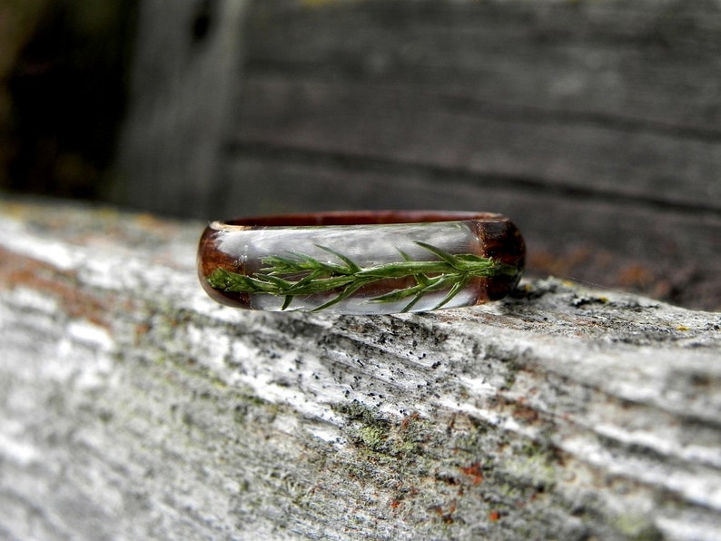 Juniper wood ring, Mens wooden ring, Real juniper resin ring, Terrarium juniper, Wood wedding rings, Nature wood ring for women, Anniversary image 6