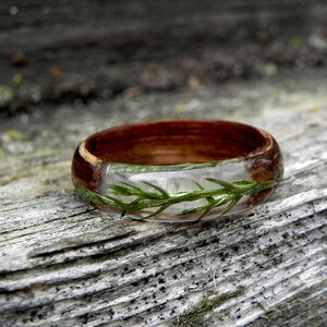 Juniper wood ring, Mens wooden ring, Real juniper resin ring, Terrarium juniper, Wood wedding rings, Nature wood ring for women, Anniversary image 1
