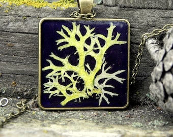 Pressed moss resin necklace, Lichen jewelry, Nature inspired terrarium jewelry, Real flowers pendant, Forest gift, Nature lover gift