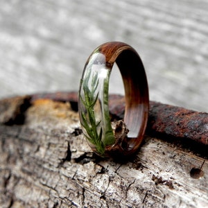 Juniper wood ring, Mens wooden ring, Real juniper resin ring, Terrarium juniper, Wood wedding rings, Nature wood ring for women, Anniversary image 8