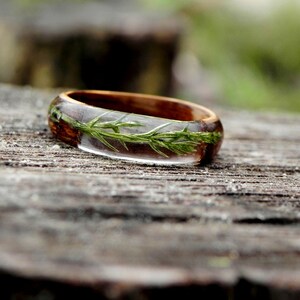 Juniper wood ring, Mens wooden ring, Real juniper resin ring, Terrarium juniper, Wood wedding rings, Nature wood ring for women, Anniversary image 2