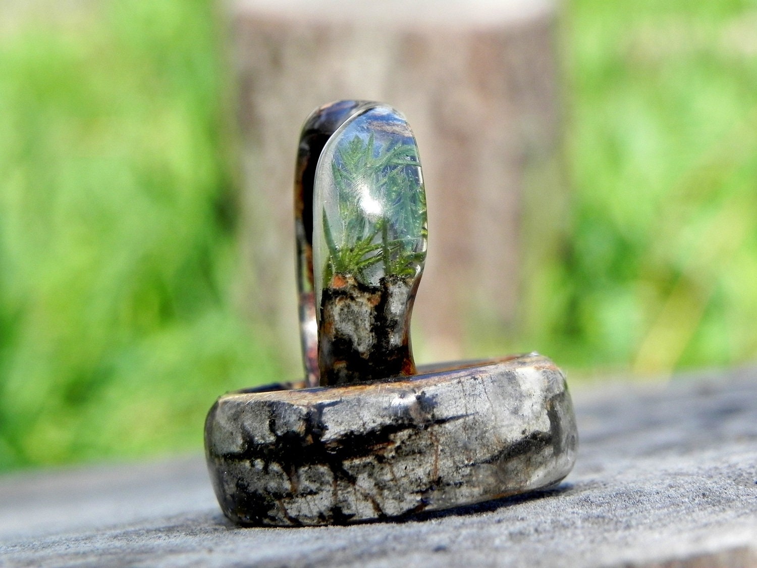 Birch Forest Ring Juniper Wood Ring Men Woden Ring Anniversary