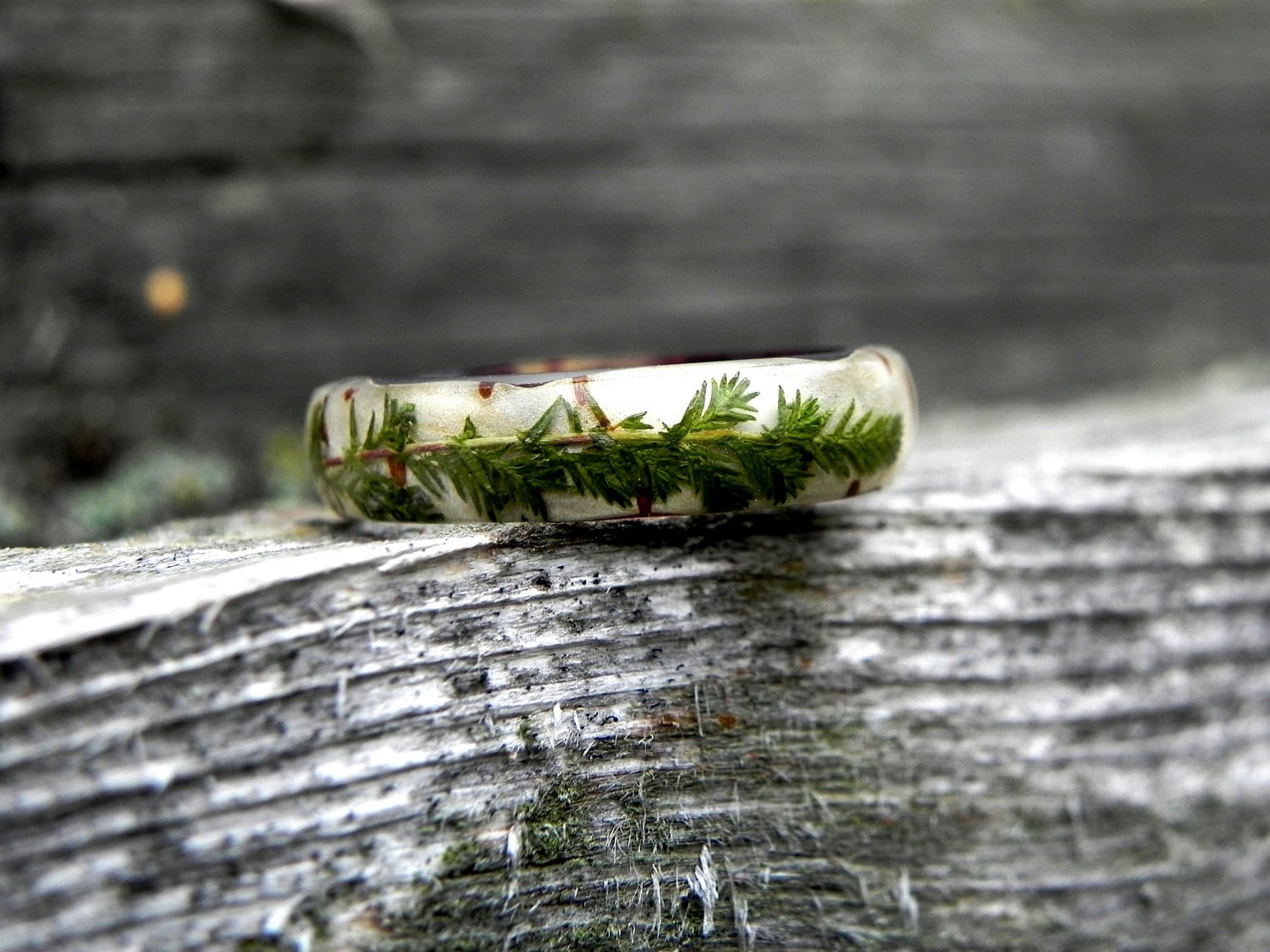 Birch & Bug Bear Ring Stacker main image 1