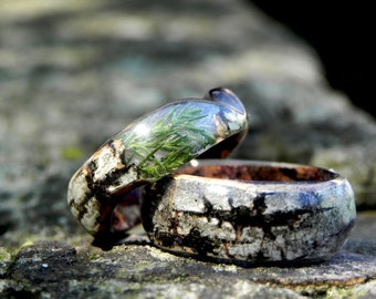 Birch forest ring, Juniper wood ring, Men woden ring, Anniversary wood ring, Bentwood mens ring, Birch bark ring, Nature wedding rings, Ring