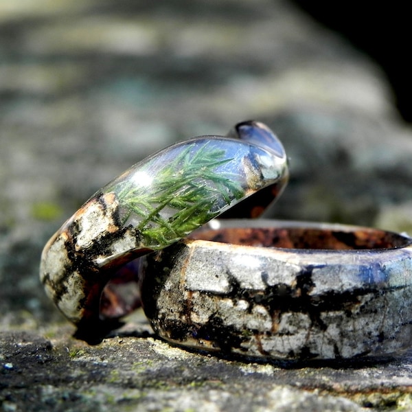 Anneau de forêt de bouleau, anneau de bois de genévrier, anneau de woden d'hommes, anneau en bois d'anniversaire, anneau d'hommes de Bentwood, anneau d'écorce de bouleau, anneaux de mariage de nature, anneau