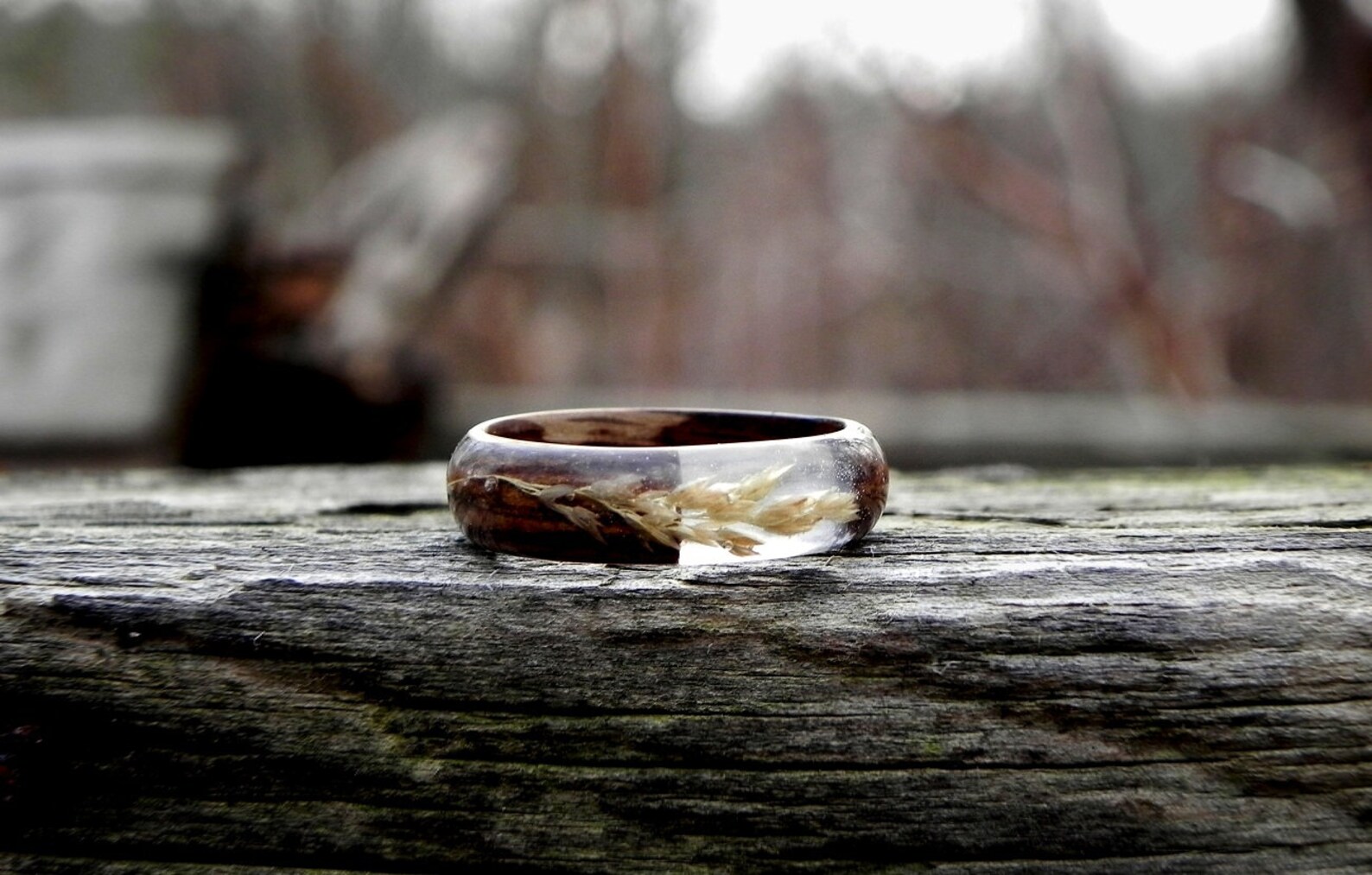 Botanical Wood RING Terrarium Plant Rings Resin Wooden Ring | Etsy