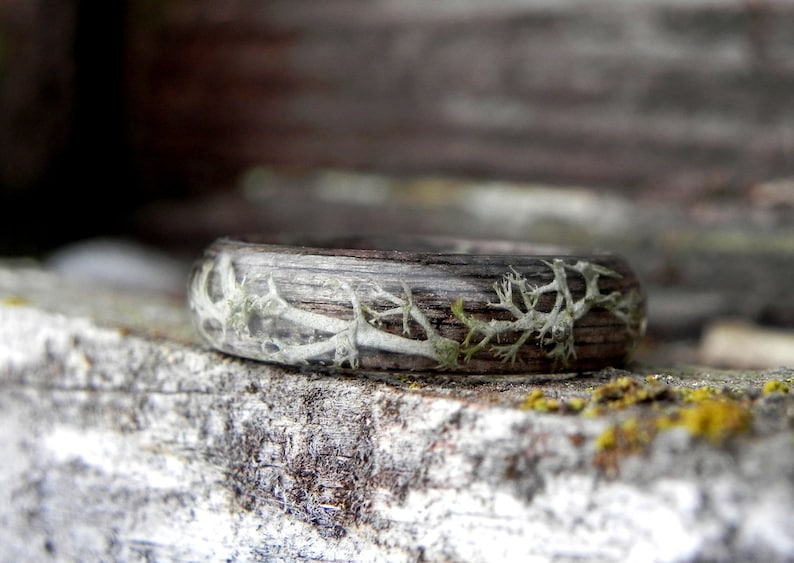 Lichen wooden winter ring, Wood forest ring, Nature moss wedding rings, Women moss wedding ring, Bentwood men wood ring, Wooden gift, Forest image 3