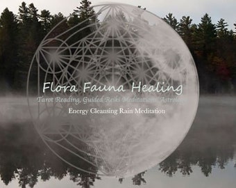 Energy Healing Energy Cleansing Rain Guided Meditation Download Chakra Healing