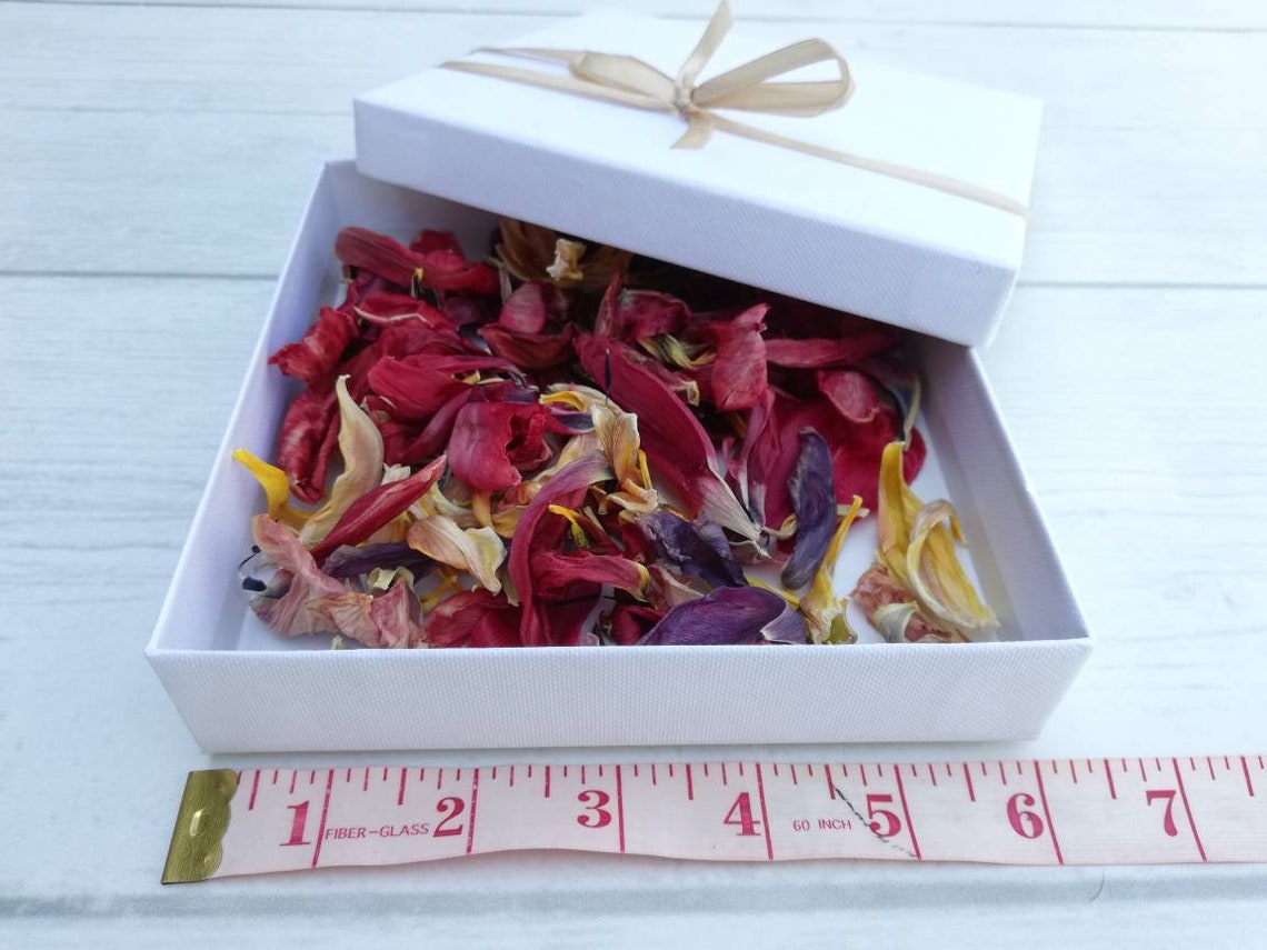 Dried Tulip Petals / Dried Tulip Flowers / Resin Jewelry Craft Etsy