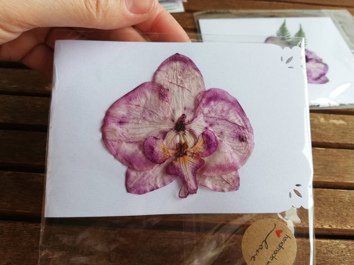 Real Purple Orchid Greeting Card / Pressed Purple Orchid Etsy Norway
