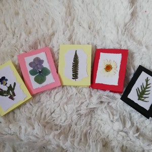 5 cartes en forme de vraies fleurs / 5 cartes en forme de fleurs pressées / 5 cartes de vœux avec fleurs artificielles