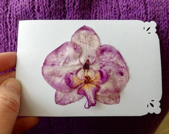 Vraie carte de voeux orchidée pourpre / carte de voeux orchidée pourpre pressée / vraie carte orchidée / carte herbier / vraie carte florale