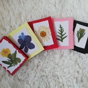 5 cartes de voeux fleurs pressées, cartes botaniques, cartes de remerciements d'anniversaire inspirées de la nature, cartes fleurs, cartes herbier