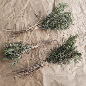 Organic Rosemary (Rosmarinus officinalis), The Herb of Health and Flavor, The Secret of Mediterranean Cuisine